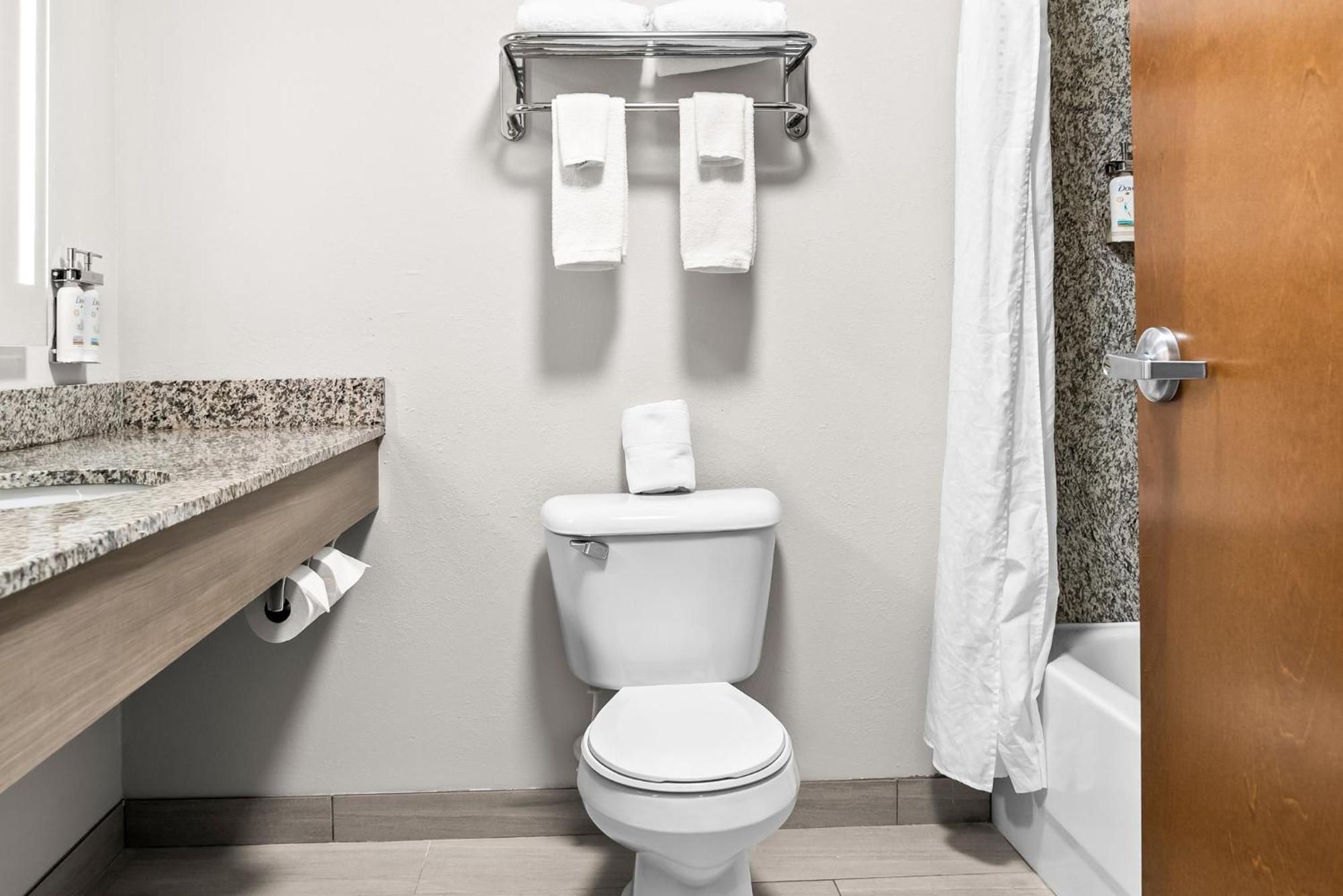Holiday Inn Express & Suites Detroit - Novi By Ihg Экстерьер фото